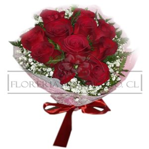 Bouquet 12 Rosas Ecuatorianas